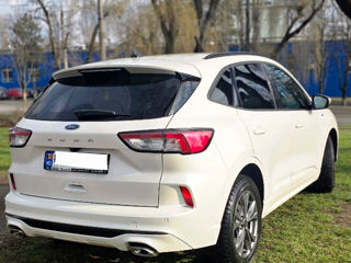 Ford Kuga foto 3