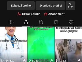 Cont TikTok 6200 urmritori