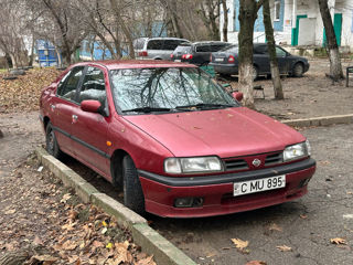 Nissan Primera foto 6