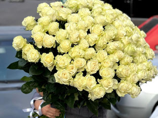 Trandafiri premium olandezi de la 37 mdl Livrare flori 24/24 доставка цветов flowers delivery foto 3