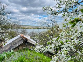 Complex rural "Casa Boierului" pe malul Nistrului, satul Viscauti (Orhei) foto 8