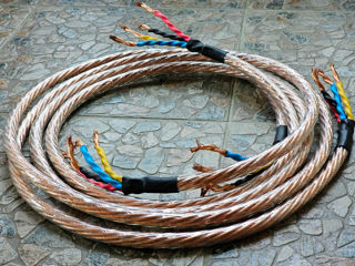 TTAF  Gold Line Bi-Wire (2х2.5 м)