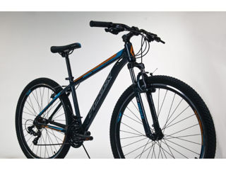 Bicicleta de munte Fulger MTB Pluton 29/21, cu livrare oriunde în țară foto 3