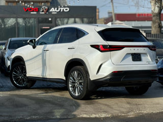 Lexus NX Series foto 5