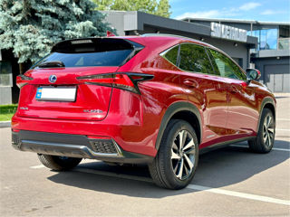 Lexus NX Series foto 6