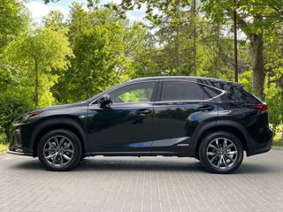 Lexus NX Series foto 4