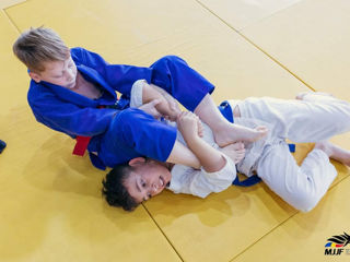 Jiu Jitsu foto 8