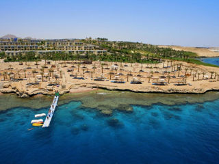 Egypt! Sharm! Grand Oasis Resort 4+! Din 13.09 - 6 nopti!