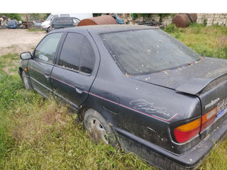 Nissan Primera foto 1