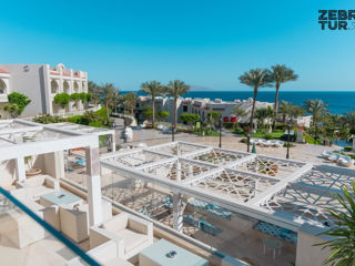 Egipt, Sharm El Sheikh - Sunrise Montemare Resort Grand Select 5* foto 1