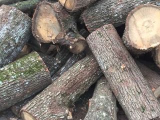 Vindem lemne de fok Speci tari Stejar Carpan Frasan (Lemn moale) Dispicate si la metru.Facem livrare foto 5