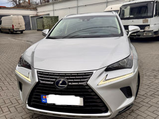 Lexus NX Series