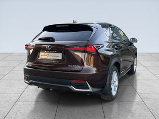 Lexus NX Series foto 5