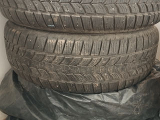 225/65 R 17 de iarna 3200 lei