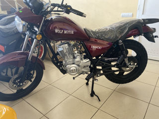 Wolf Motors Wolf Motors 150 cc