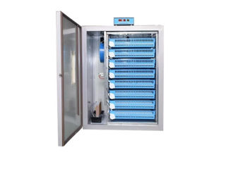 Incubator pentru oua Demetra DM-512-livrare -credit