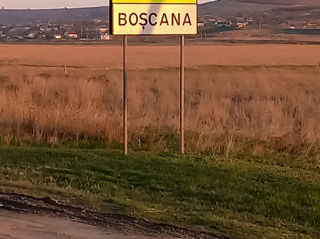 Boscana 15 ari pentru constructie.