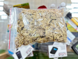 Mulci pentru gradina, sphagnum moss, mușchi de turbă, substrat pentru acoperiri in gradina фото 2