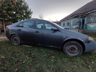 Nissan Primera foto 2