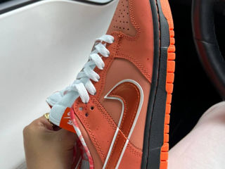 Nike SB Dunk Lobsters Orange Unisex 36-45 foto 3