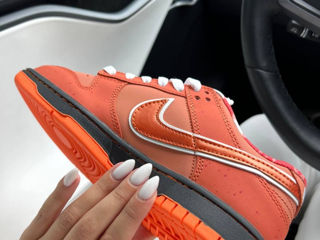 Nike SB Dunk Lobsters Orange Unisex 36-45 foto 10