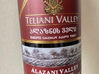 Teliani Valley