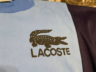 Lacoste foto 3