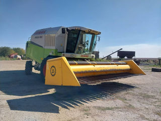 Claas Mega 360 Heder de porumb комбаин и жатка для кукурузы foto 3