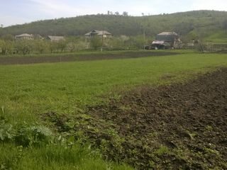 lotul e pe loc drept vecinii au constructii se afla in Baltata negociabil foto 1