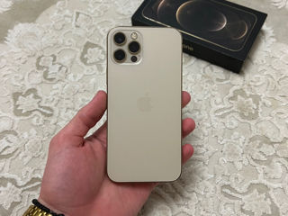 iPhone 12 Pro 256GB Gold фото 0