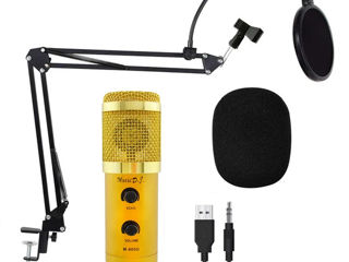 Microfon studio / Конденсаторный микрофон M-800U