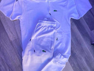 Costum Lacoste foto 3