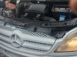 Mercedes 313-311 cdi foto 6