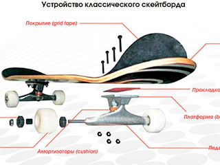 Роликовая доска - Skateboard / Роликовые коньки Roller Skates foto 6