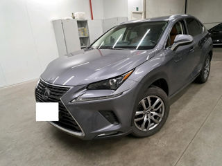 Lexus NX Series