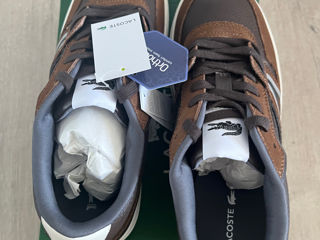 Lacoste foto 2