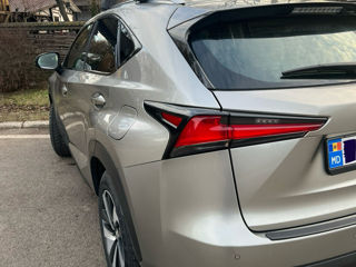 Lexus NX Series foto 5