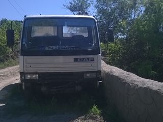 Daf foto 1