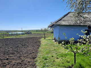 Vînd două case pe un teren de 45 ari. r.Ungheni, st.Valea - Mare. foto 4