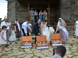 Porumbei pentru nunti, ceremonii foto 2