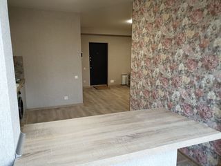 Vânzare apartament cu 2 camere, 43500 € foto 4