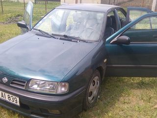 Nissan Primera foto 5