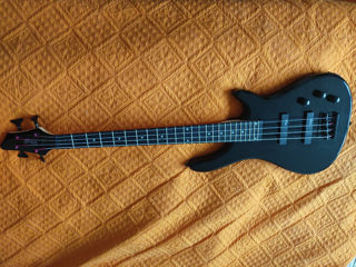 Bass Stagg foto 5