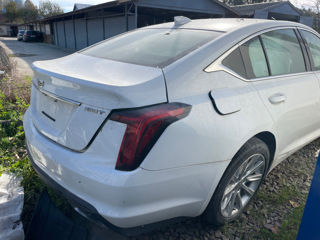 Cadillac CT5 foto 7