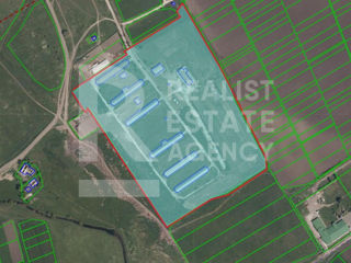 Vânzare, teren agricol, fermă, 10,48 ha, comuna Petreni, Drochia foto 1