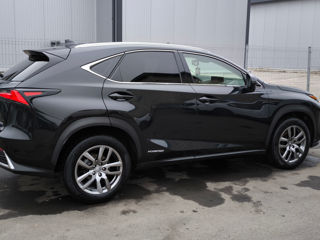 Lexus NX Series