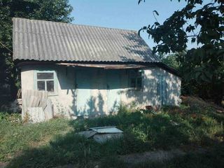 Продается дом в городе Окница. foto 3