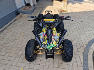 Viper Atv electric foto 9