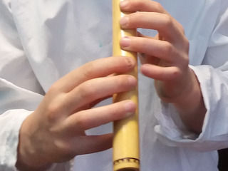 Lecții fluier-nai-flaut-saxofon, sector botanica-ciocana (fluier,nai,blockflute,flaut)
