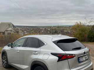 Lexus NX Series foto 4